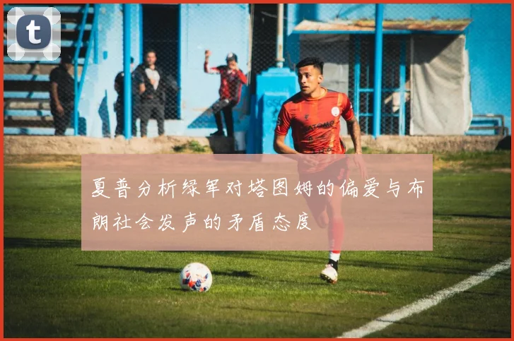 夏普分析绿军对塔图姆的偏爱与布朗社会发声的矛盾态度